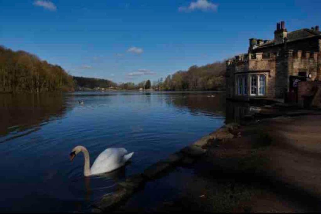 Millstone Cottage Newmillerdam Hill Top Екстер'єр фото